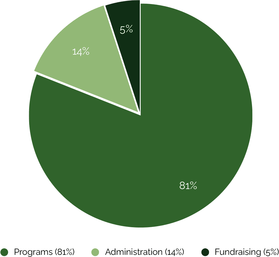 cfi chart