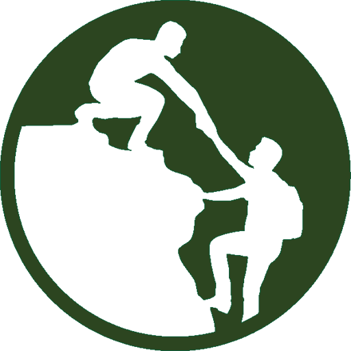 CFI logo new 200625 favicon 512 green
